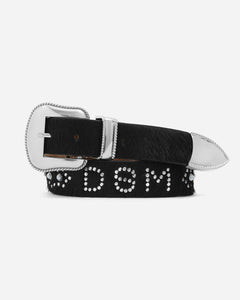 DSM Western Belt